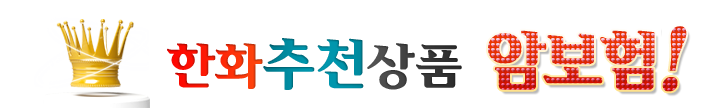 한화손해보험 전문 암플랜보험 Big3